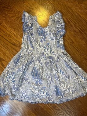 Roller Rabbit Blue and White Floral Flutter Dress